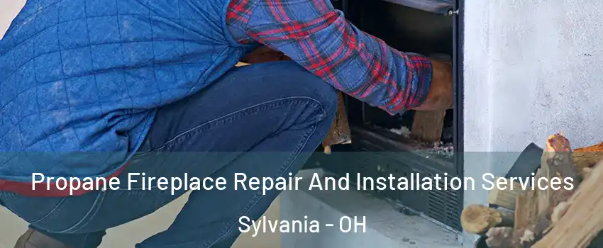  Propane Fireplace Repair And Installation Services Sylvania - OH