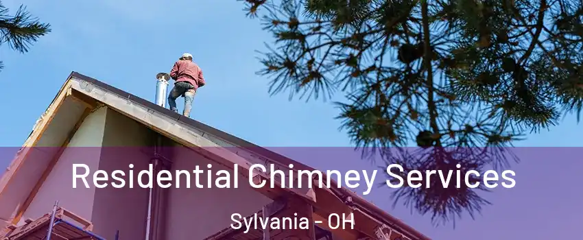  Residential Chimney Services Sylvania - OH