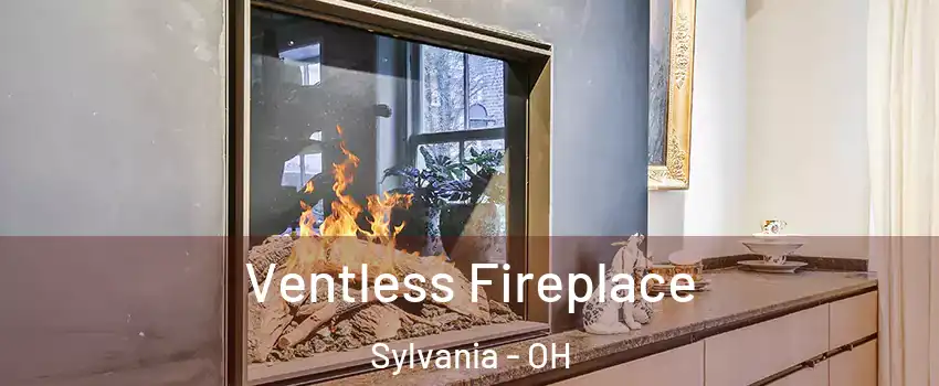 Ventless Fireplace Sylvania - OH